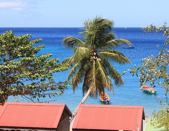 Voyage en Martinique : quelle activite choisir ?