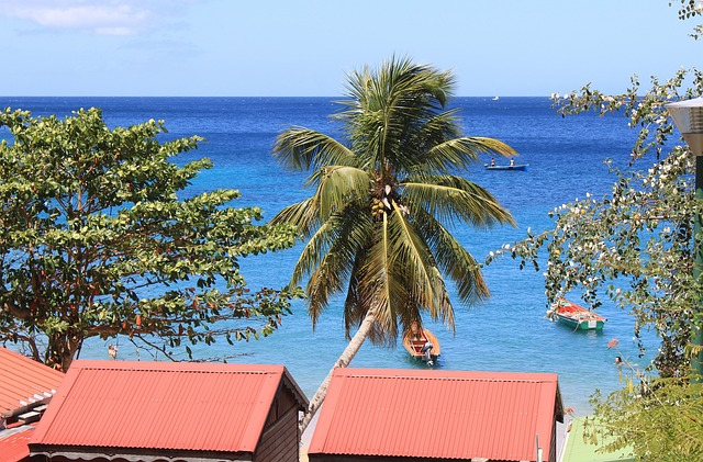 Voyage en Martinique : quelle activite choisir ?