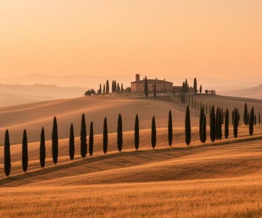 Comparateur de Locations de Vacances en Toscane : Les 3 Meilleures Options entre Tosqana, Rent in Tuscany et Cozycozy